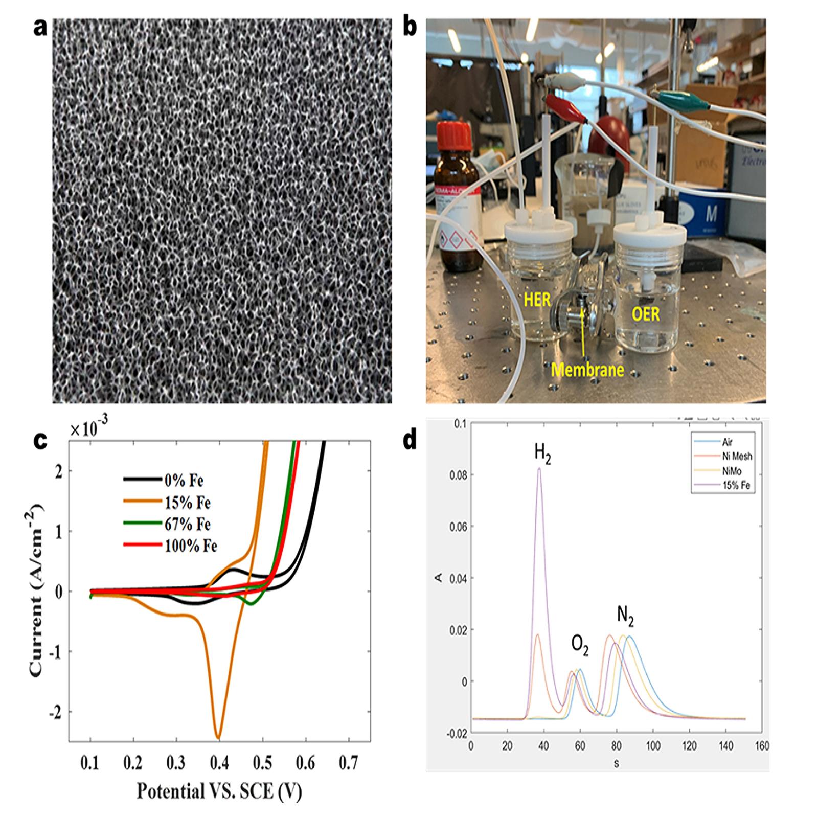 Paving the way for green hydrogen energy charts